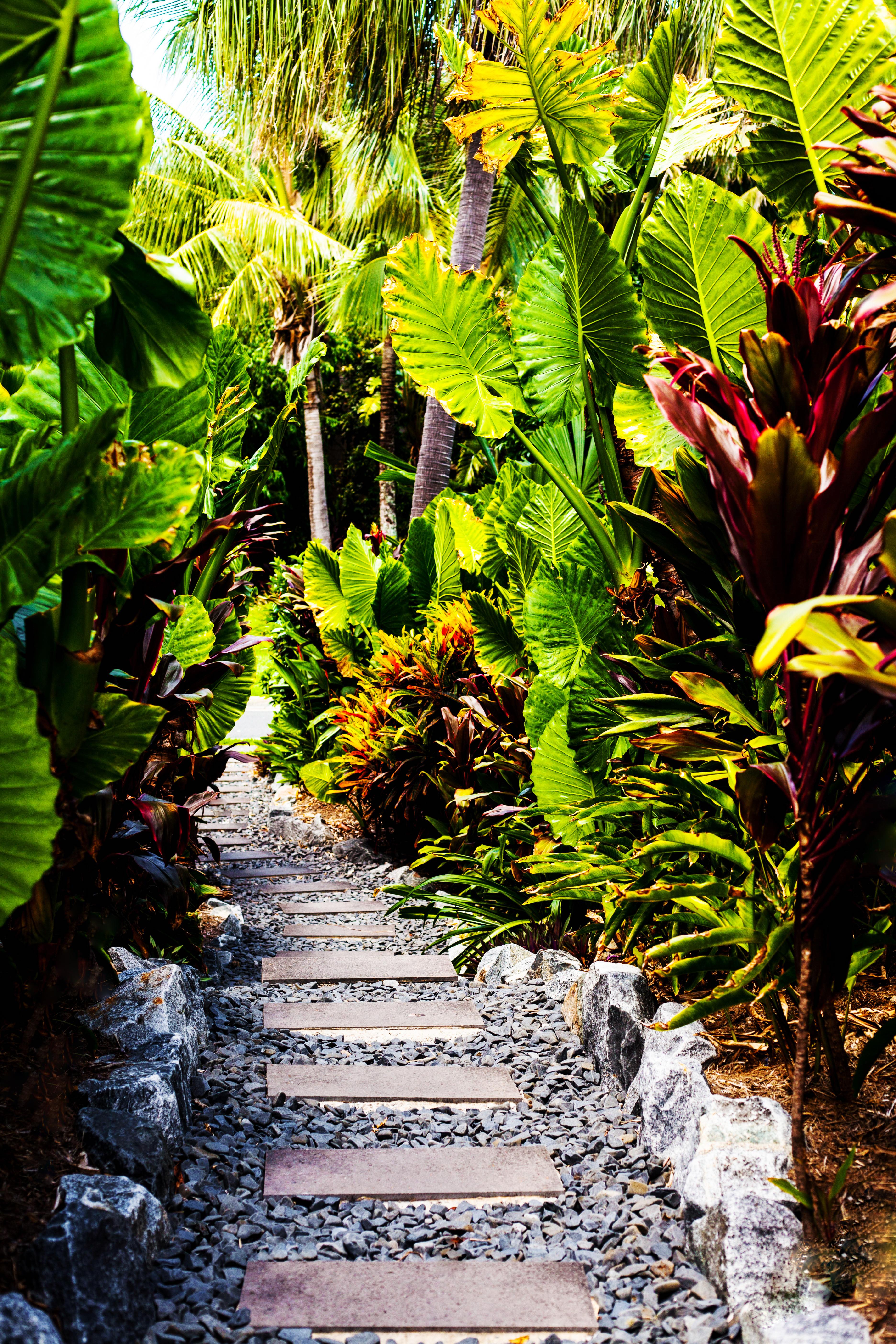 Hamilton Island Holiday Homes Extérieur photo